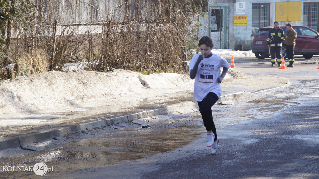 „Tropem Wilczym” w Grabowie