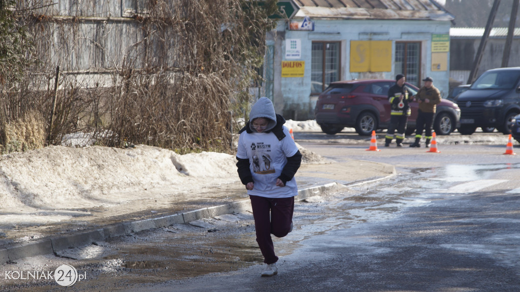 „Tropem Wilczym” w Grabowie