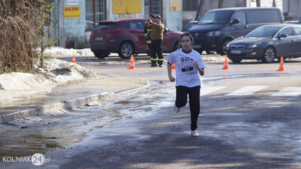 „Tropem Wilczym” w Grabowie