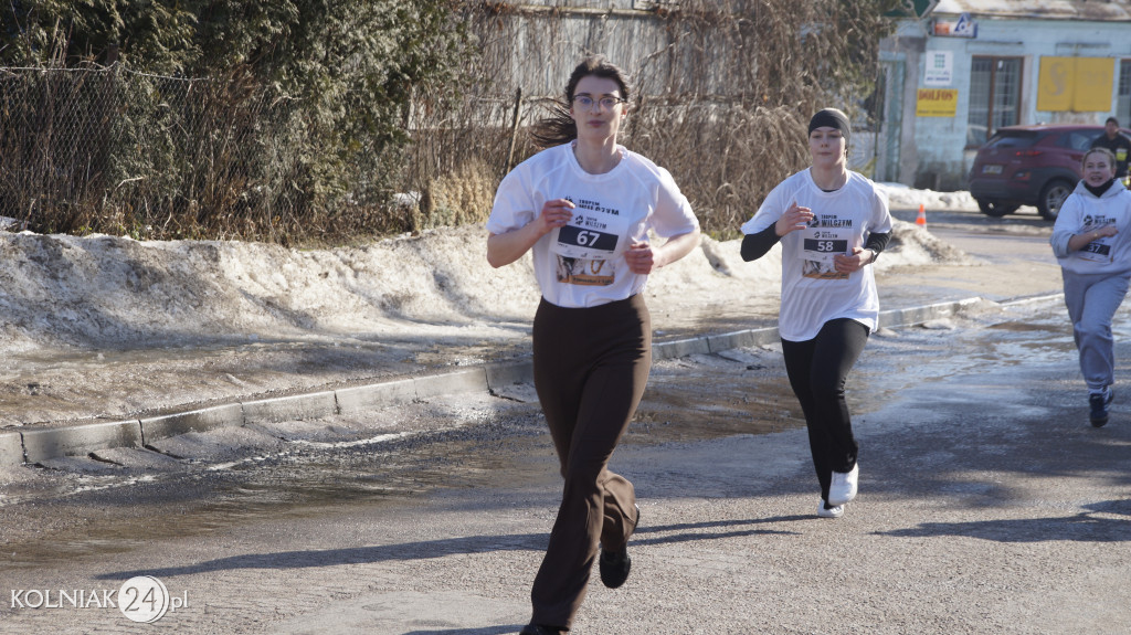 „Tropem Wilczym” w Grabowie