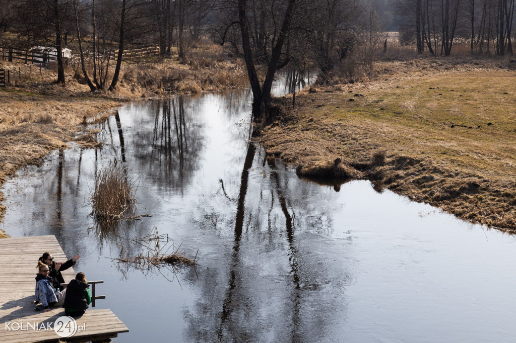 Szlak „Pisa–Narew”