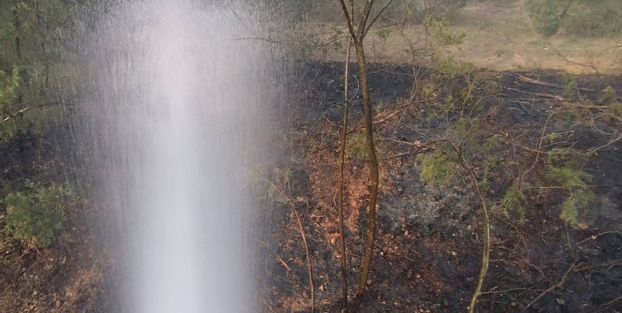 Pożar lasu w Rupinie