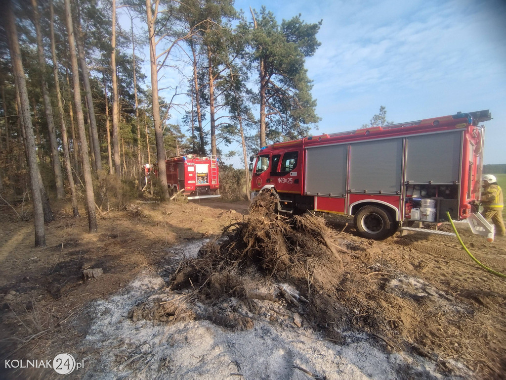 Pożar lasu w Rupinie