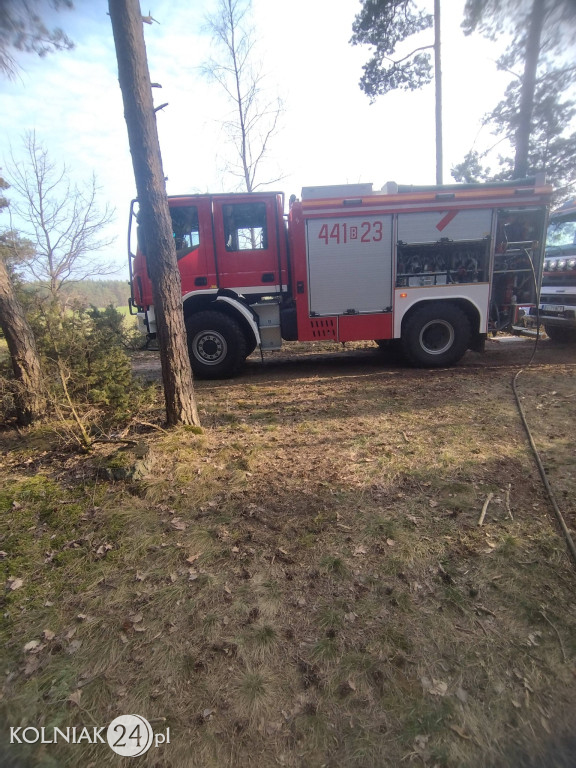 Pożar lasu w Rupinie