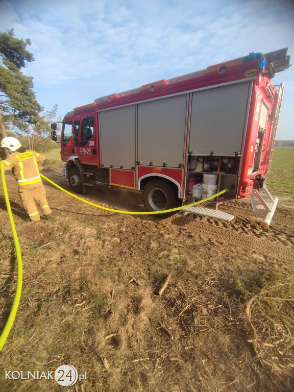 Pożar lasu w Rupinie
