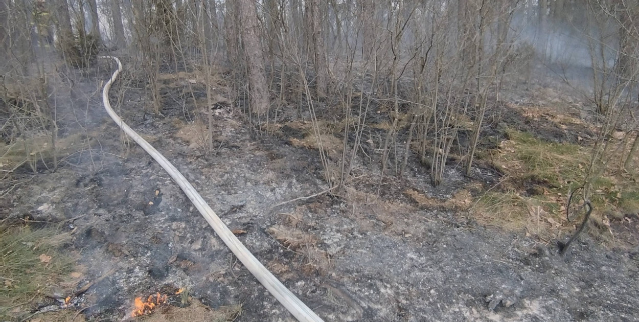 Pożar lasu w Wincencie