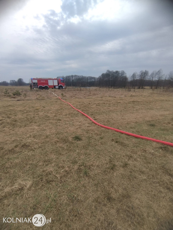 Pożar lasu w Wincencie