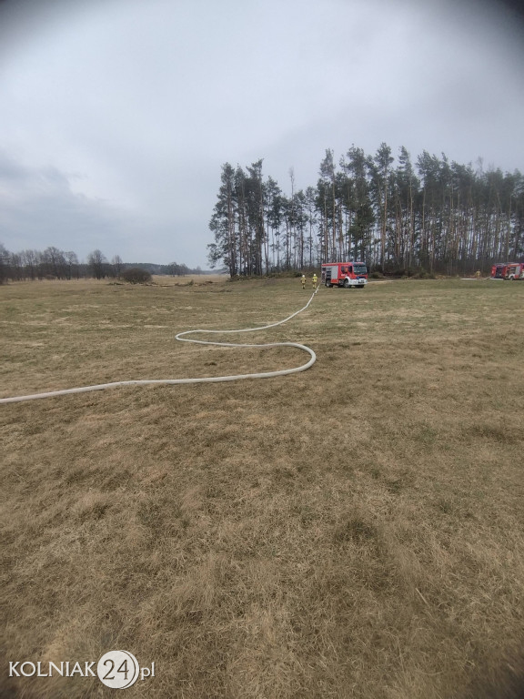 Pożar lasu w Wincencie