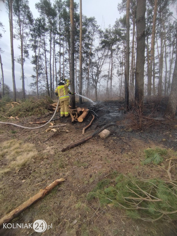Pożar lasu w Wincencie