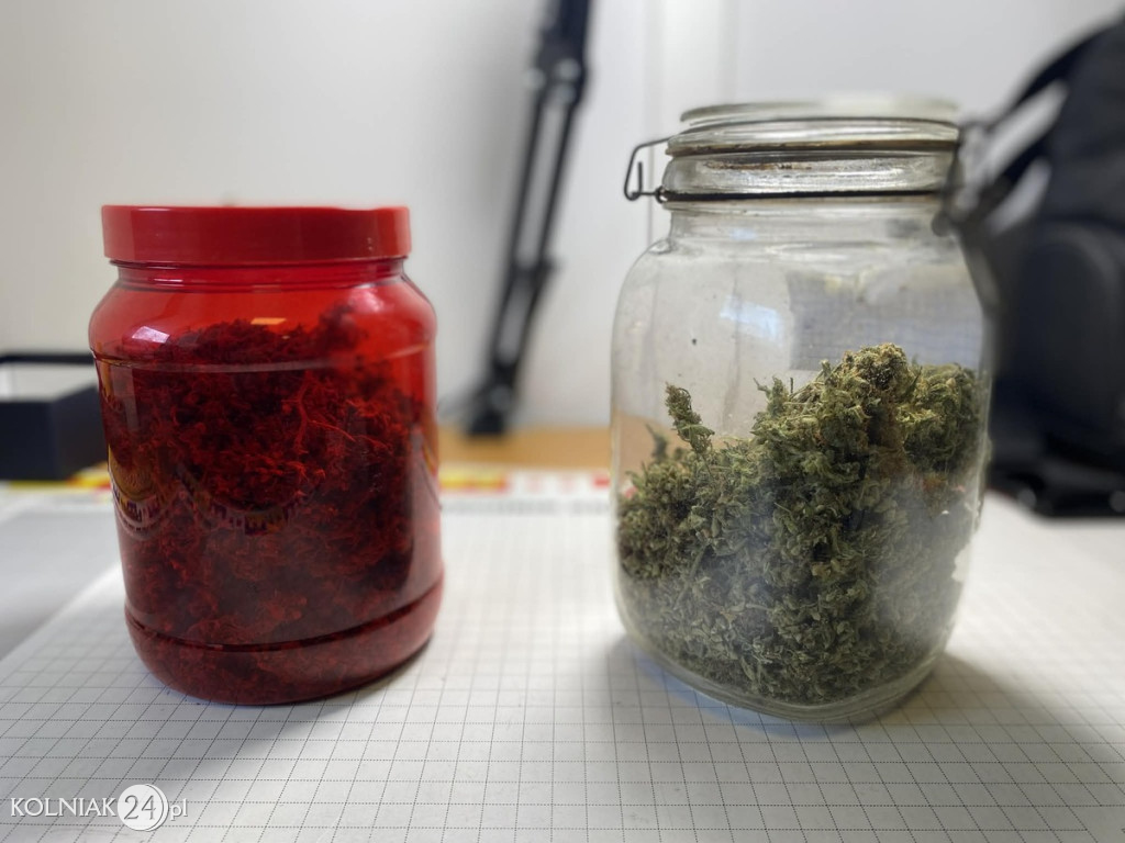 150 gramów marihuany i 5 krzewów konopi