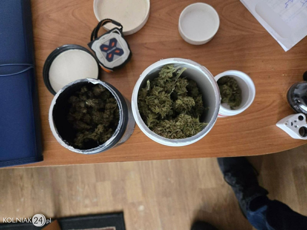 150 gramów marihuany i 5 krzewów konopi