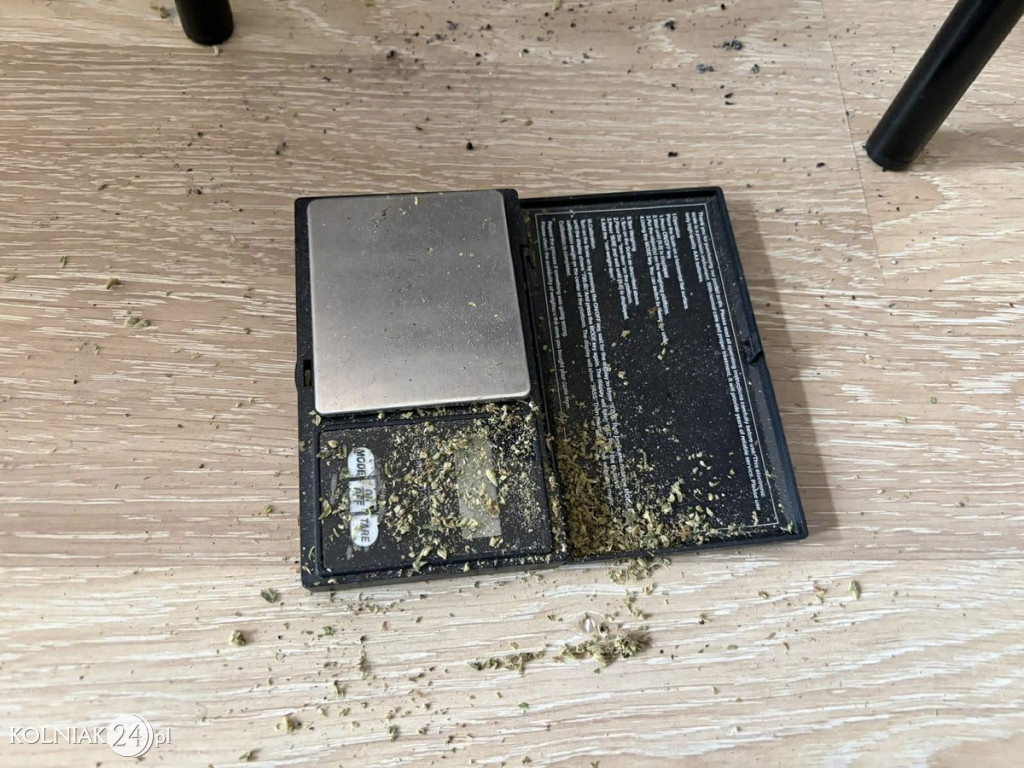 150 gramów marihuany i 5 krzewów konopi