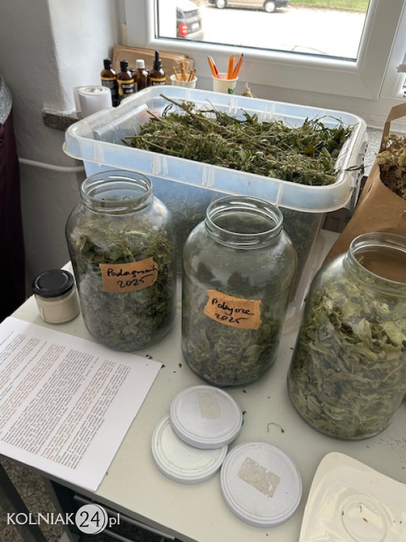 Lokalny Ośrodek Wiedzy i Edukacji