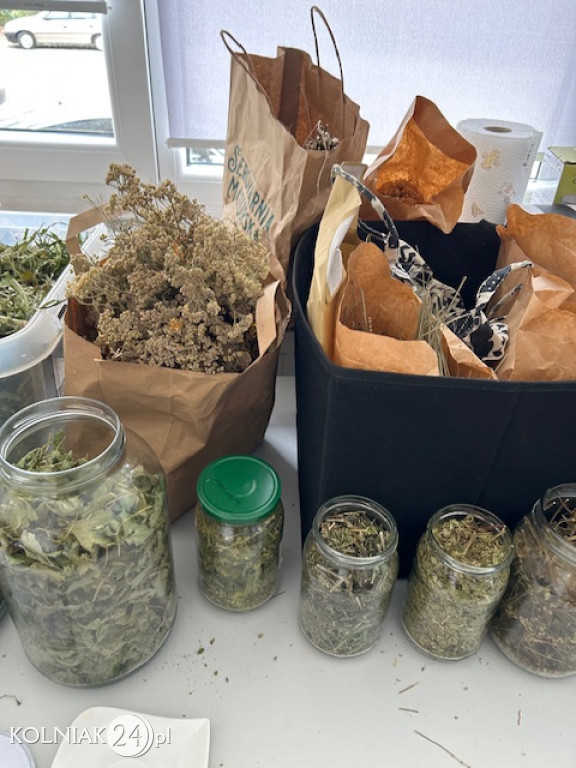 Lokalny Ośrodek Wiedzy i Edukacji