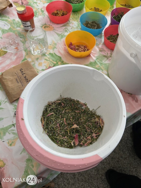 Lokalny Ośrodek Wiedzy i Edukacji