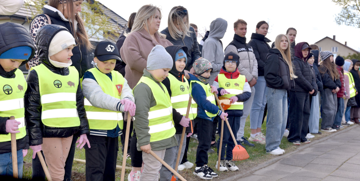 Dęby na 600-lecie Stawisk