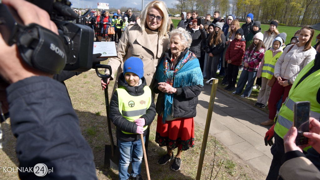 Dęby na 600-lecie Stawisk