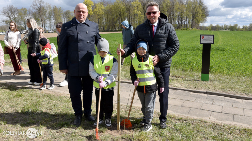 Dęby na 600-lecie Stawisk