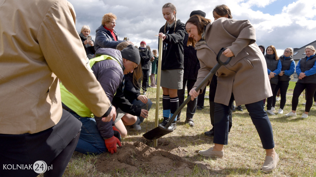 Dęby na 600-lecie Stawisk