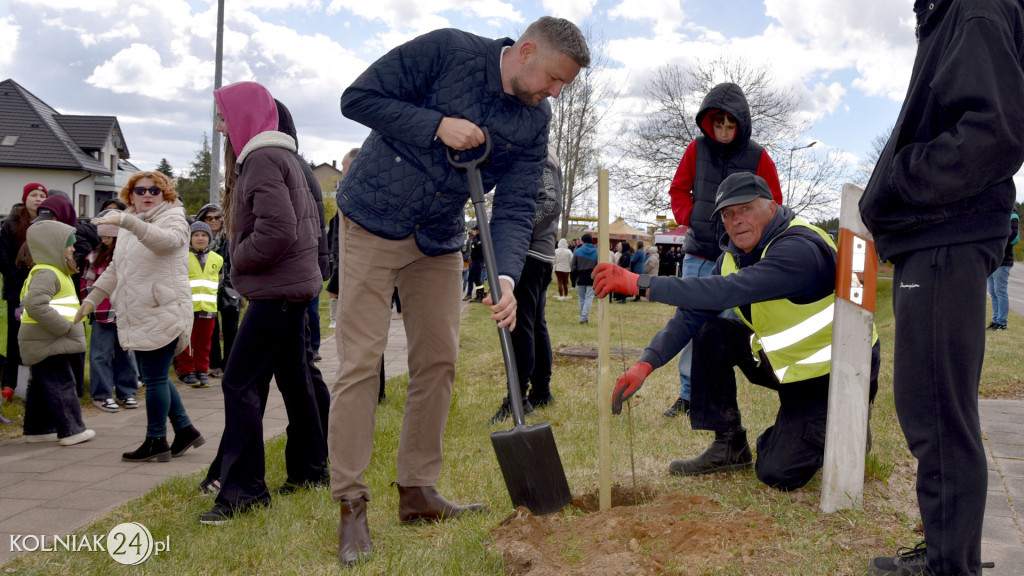 Dęby na 600-lecie Stawisk
