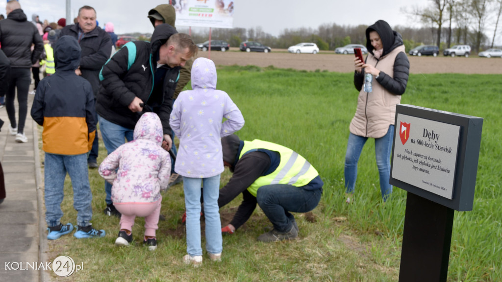 Dęby na 600-lecie Stawisk