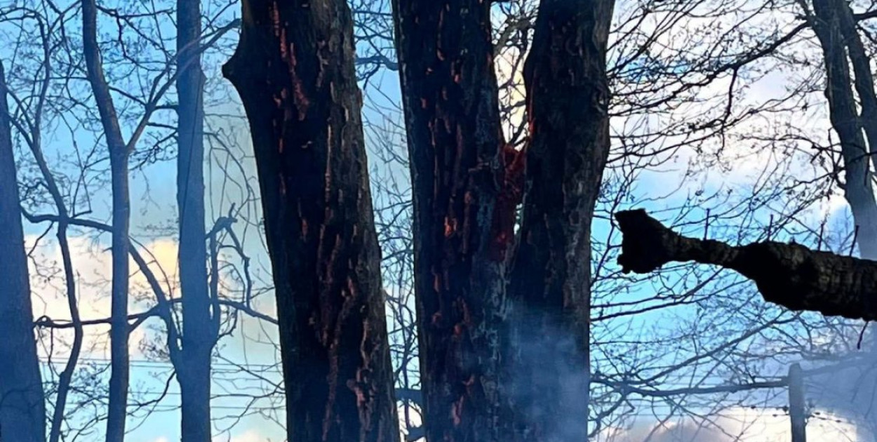 Pożar drewnianego domu