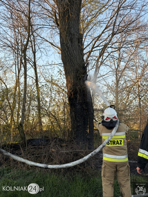 Pożar drewnianego domu