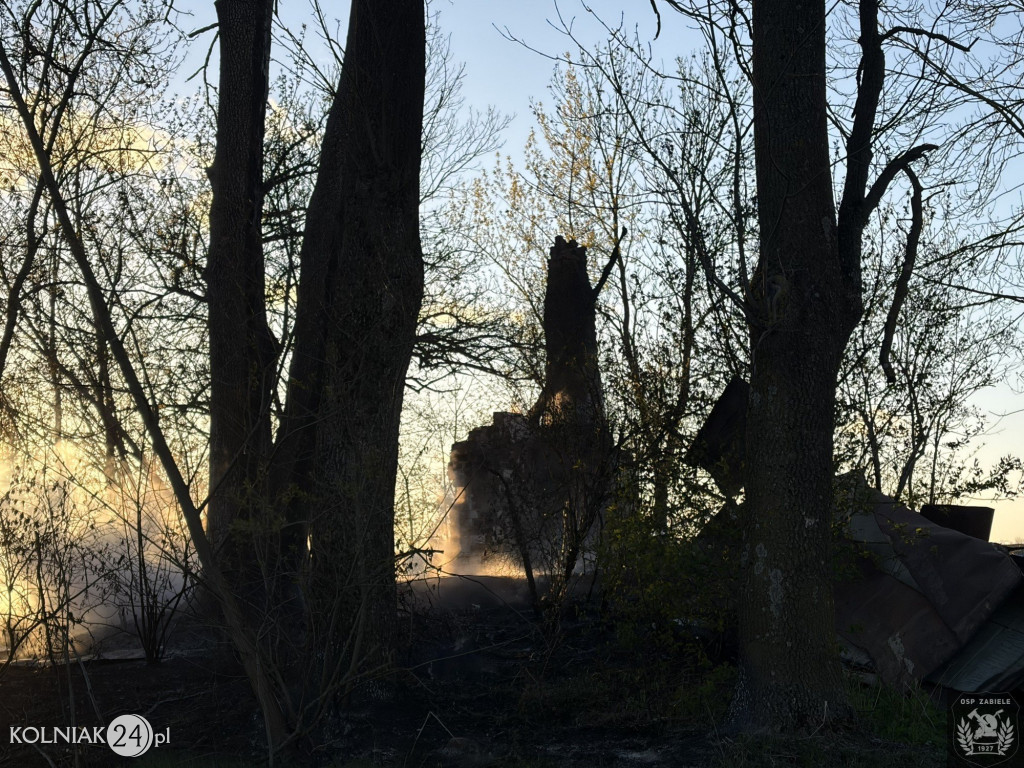 Pożar drewnianego domu