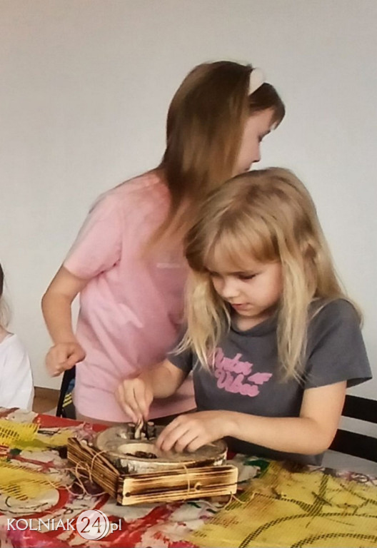 Domek dla owadów