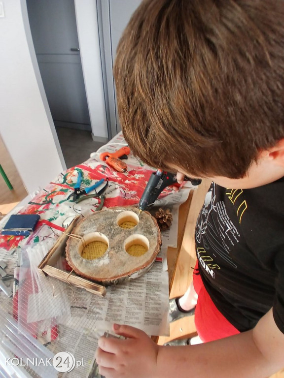 Domek dla owadów