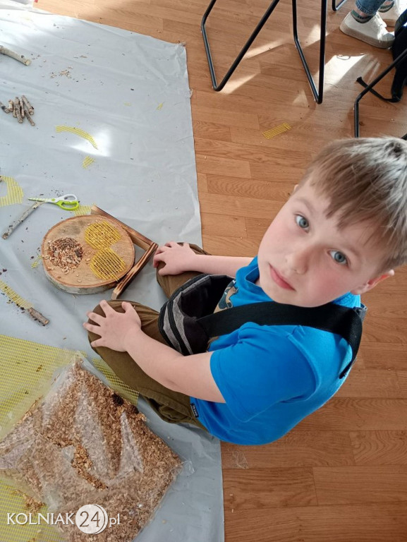Domek dla owadów