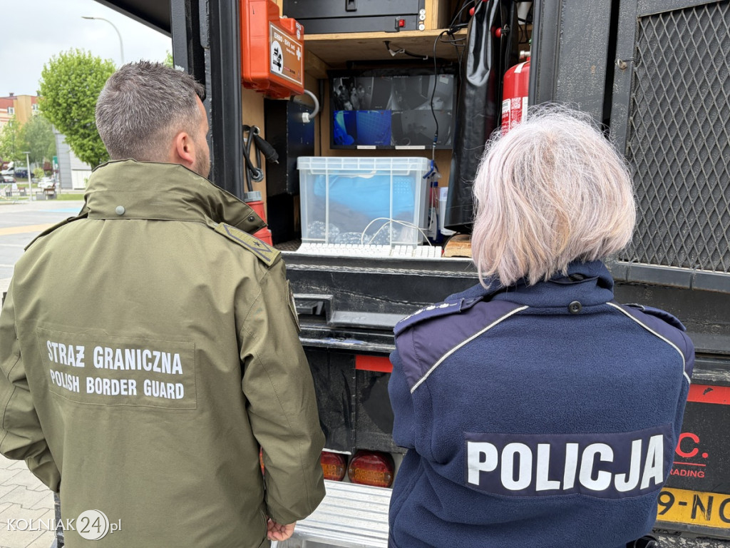 ESCAPETRUCK PRZYJECHAŁ DO KOLNA