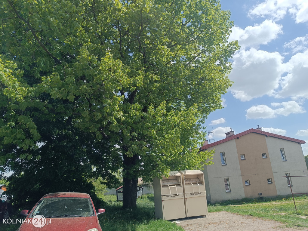 Okolica bloku socjalnego w Kolnie