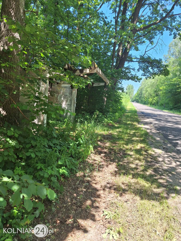 Kolejny przystanek widmo