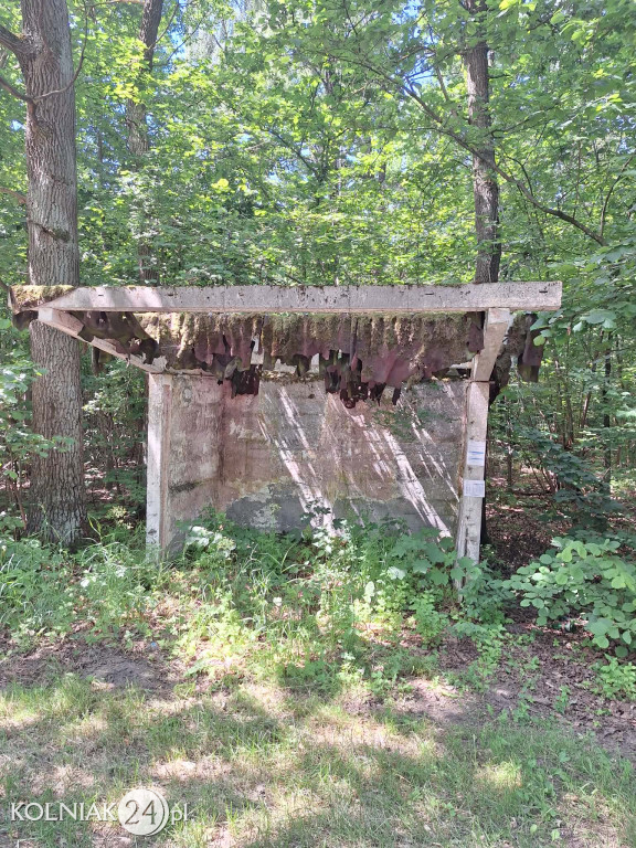 Kolejny przystanek widmo