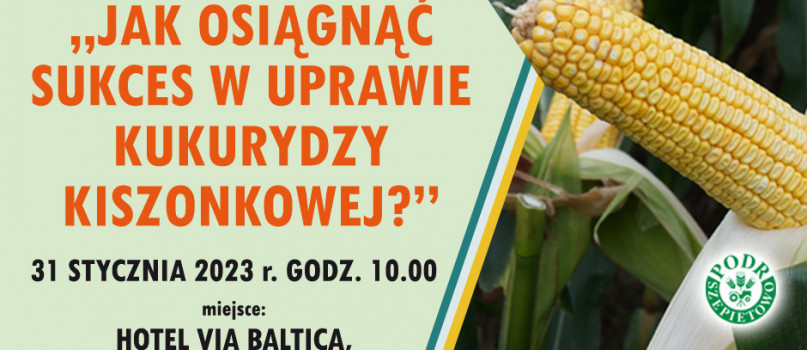 Jak osiągnąć sukces w uprawie kukurydzy kiszonkowej?-878