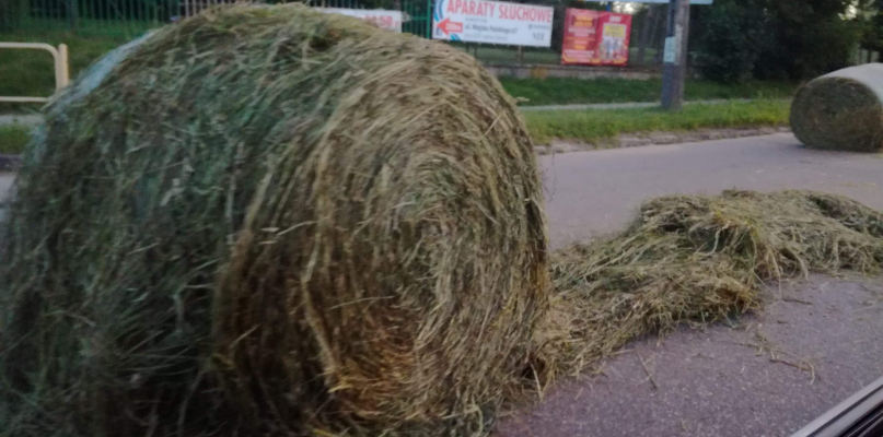 Czytelnik