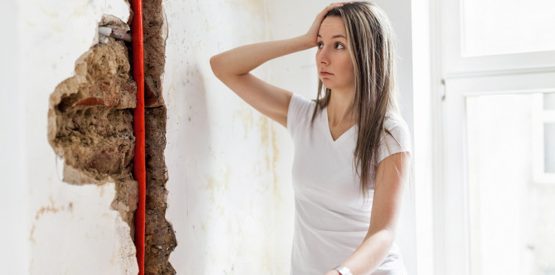 Odgrzybianie pomieszczeń mieszkalnych. Jak się za to zabrać?