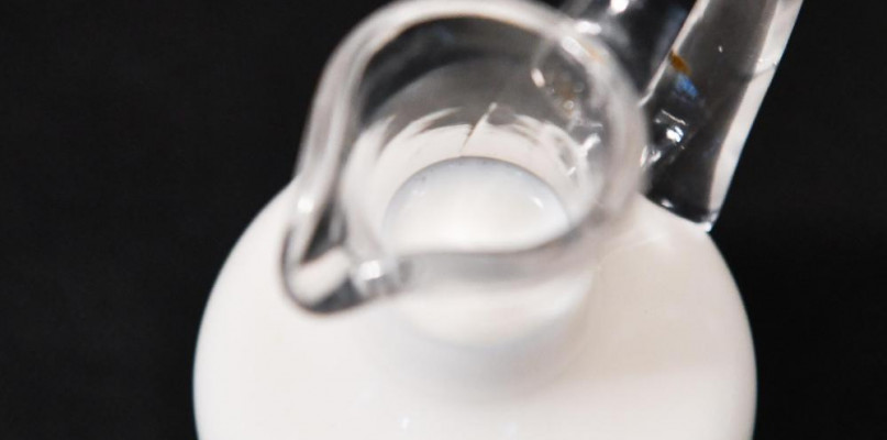 Co jeść w trakcie antybiotykoterapii?