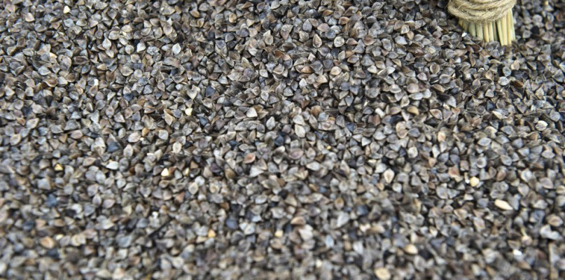 Dlaczego warto jeść kaszę gryczaną?