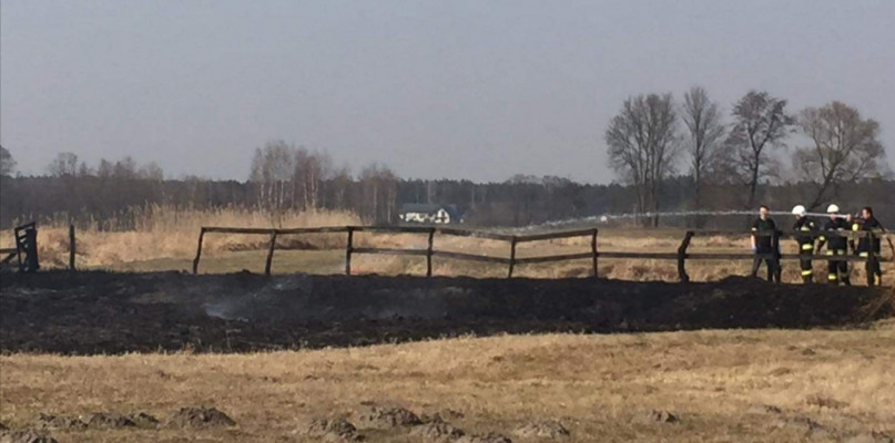 Fot. Nadesłane przez Czytelnika