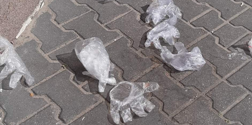 Fot. Nadesłane przez Czytelnika