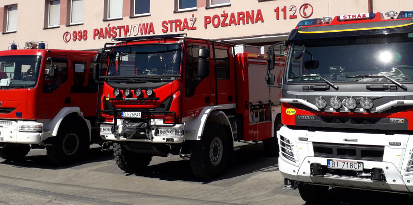 Do szamba w oborze wpadły dwa byki. Niestety jednego nie udało się uratować