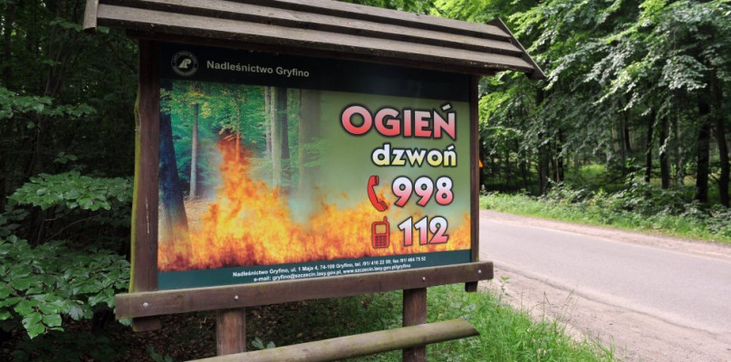 PSP: najwyższy stopień zagrożenia pożarowego w lasach; uważajmy podczas spacerów