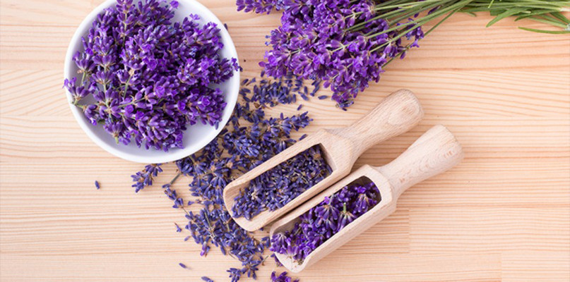 14 ziół które można waporyzować na potrzeby aromaterapii!