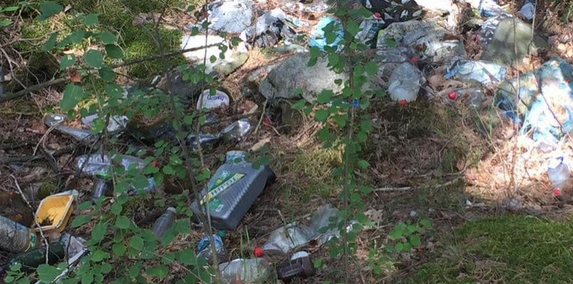 Fot. Nadesłane przez Czytelnika