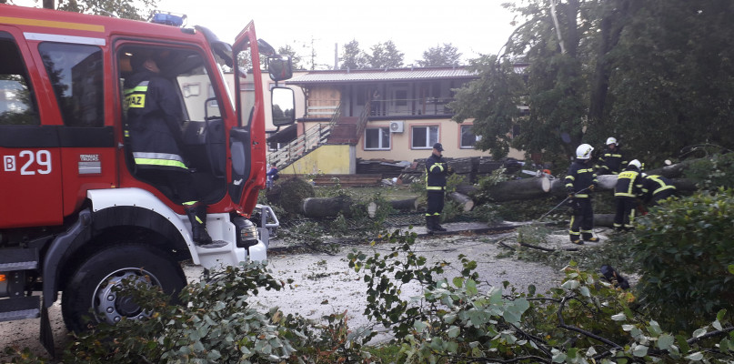  Drzewa i konary leżały na drogach, a linie energetyczne były pozrywane. Nawałnica w kilka minut wyrządziła wiele szkód