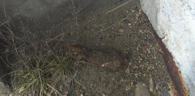 Mieszkaniec Kolna znalazł niewybuch pochodzący z czasów II wojny światowej