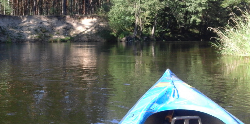 Fot. nadesłane