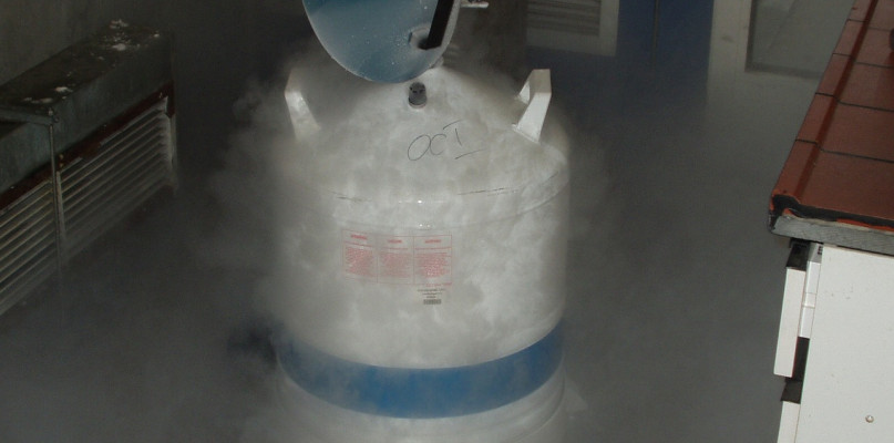 Do czego służy naczynie Dewara? Wyjaśniamy